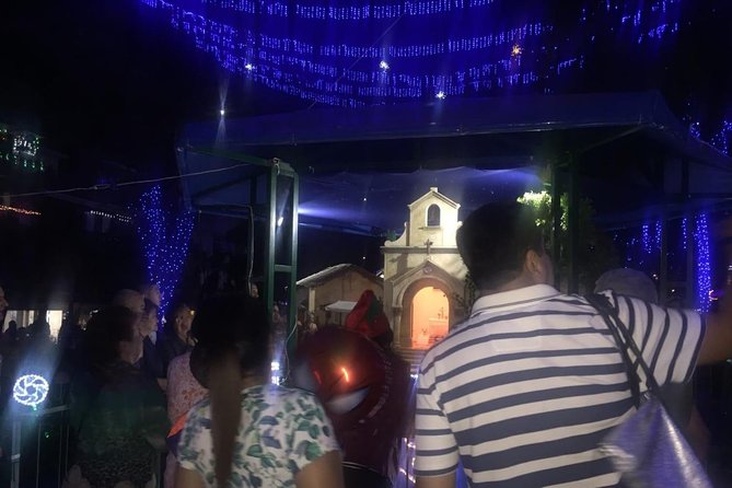 Private Christmas Lights Tour in Medellin