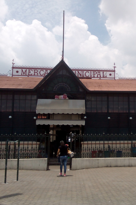 Private City Tour in the Historic Center of Manaus