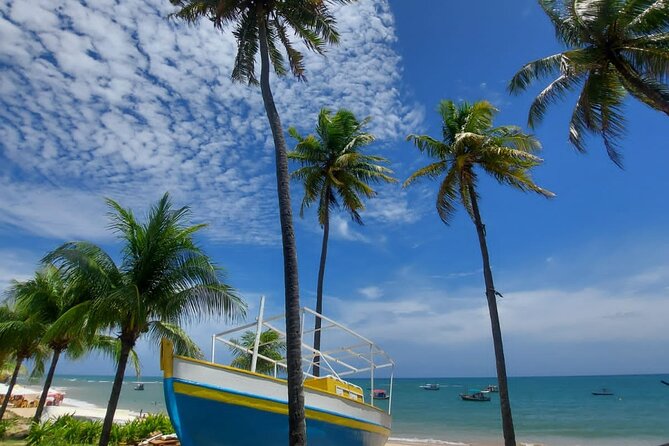 Private City Tour With Beach Stop for Swimming.