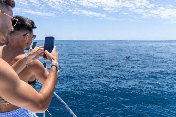Private Coastline and Dolphins Yacht Cruise From Albufeira - Overview of the Experience