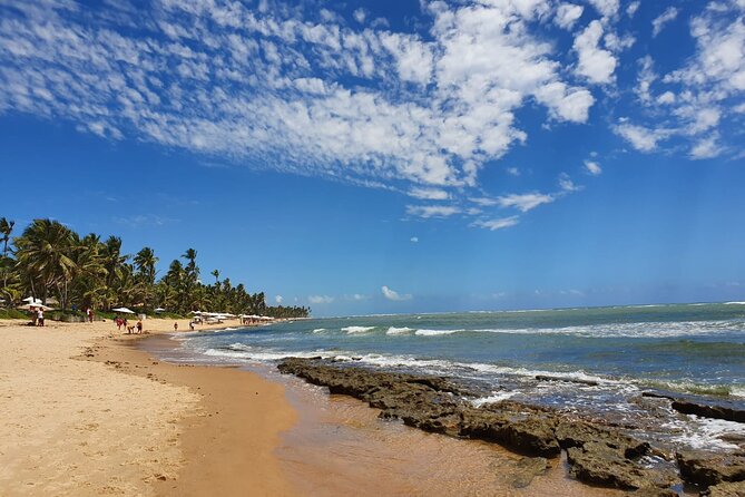 Private Coconut Coast & Praia Do Forte Tour – From Salvador
