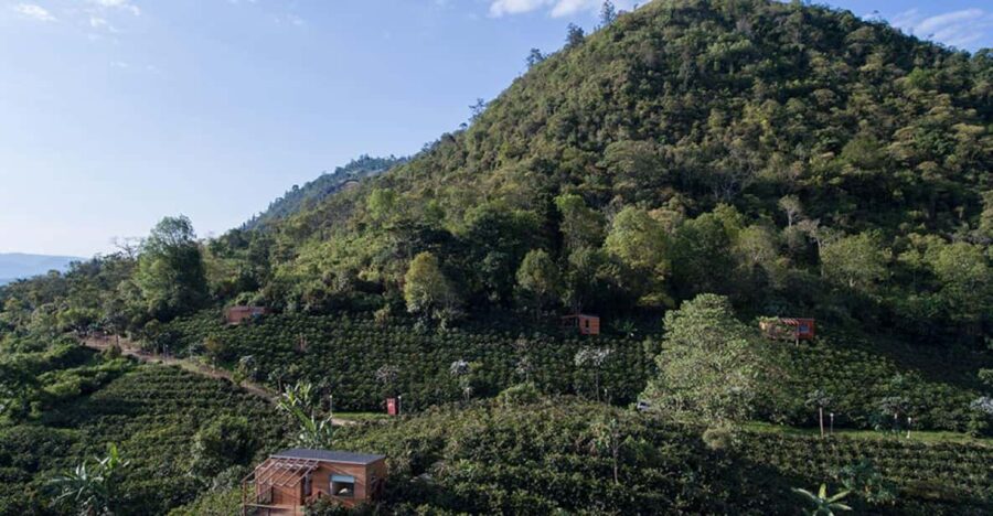 Private Coffee Plantation Tour With Tasting and Lunch - Tour Overview