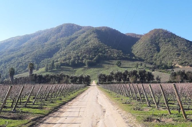 Private Colchagua Valley Wine Tour All Inclusive From Santiago
