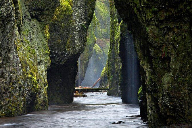 Private Columbia River Gorge Half-Day Tour - Tour Overview