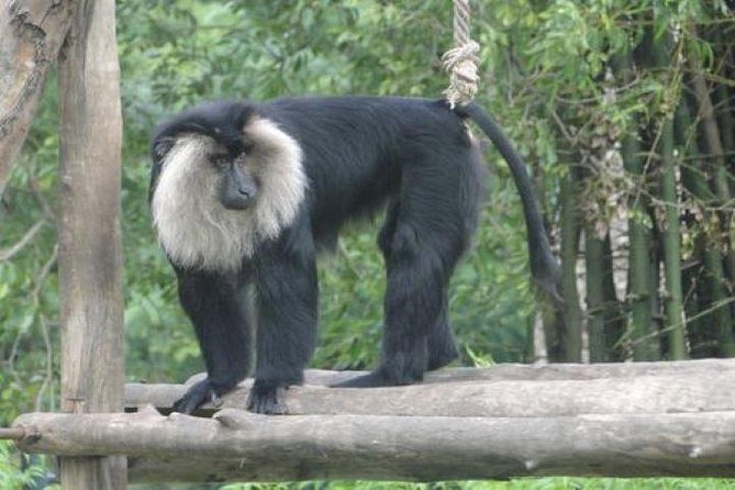 Private Custom Tour: Coorg Sightseeing With Guide in an Air-Conditioned Vehicle