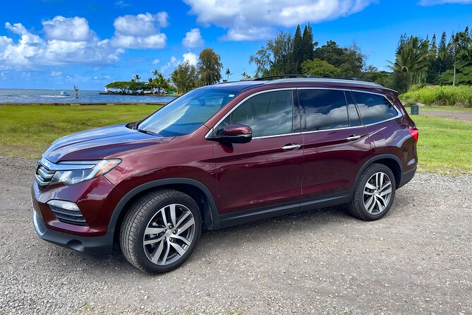 Private Custom Van Full-Day Guided Tour on Big Island of Hawaii