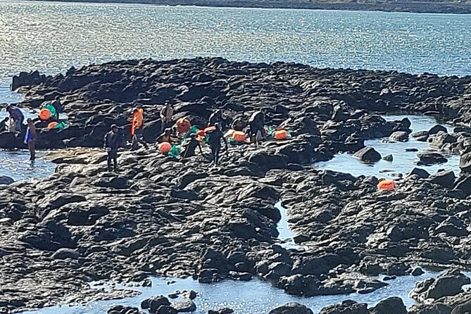 Private Day Mini Bus Taxi Tour Experienced Driver in Jeju Island