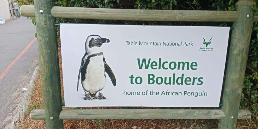 Private Day Tour Cape Point, Cape Of Good Hope & Penguins