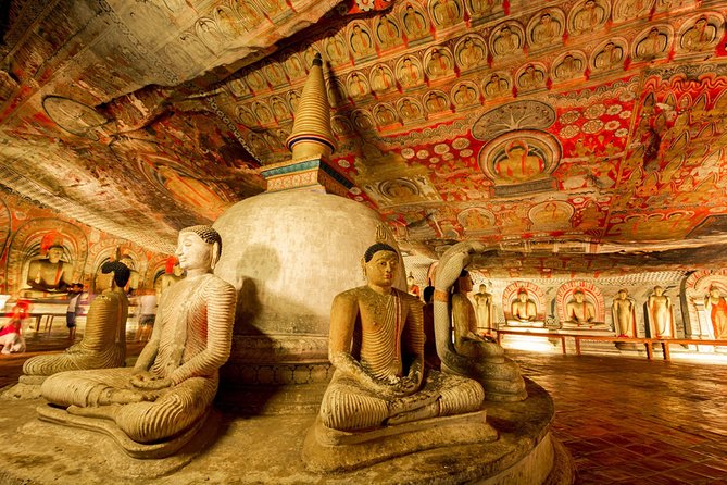 Private Day Tour Sigiriya and Dambulla