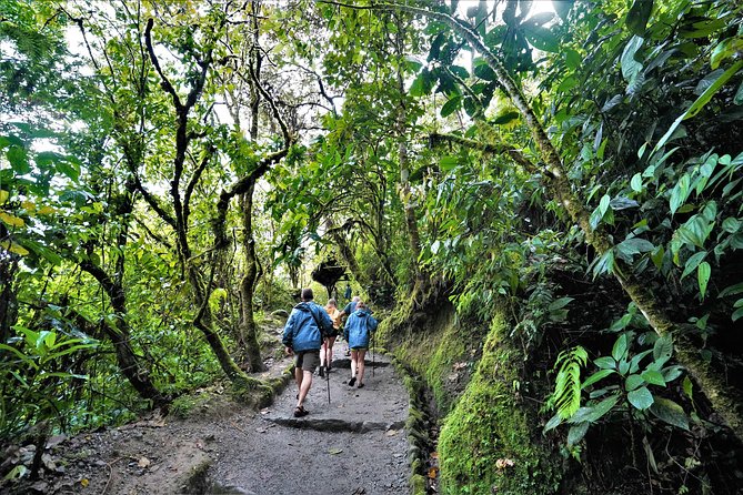 Private Day Tour to Mindo – Waterfalls & Hummingbirds