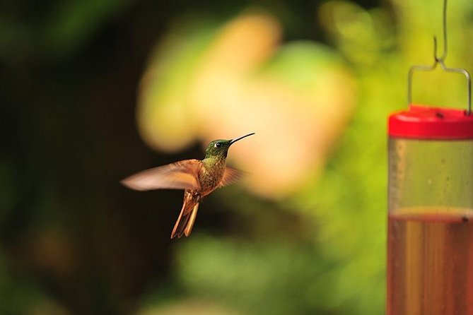 Private Day Tour to Mindo – Waterfalls & Hummingbirds