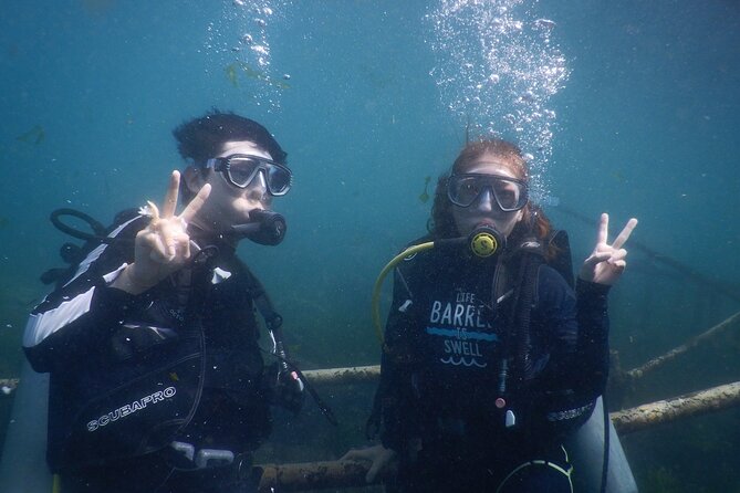 3 Best Scuba Diving Experiences In Nusa Dua