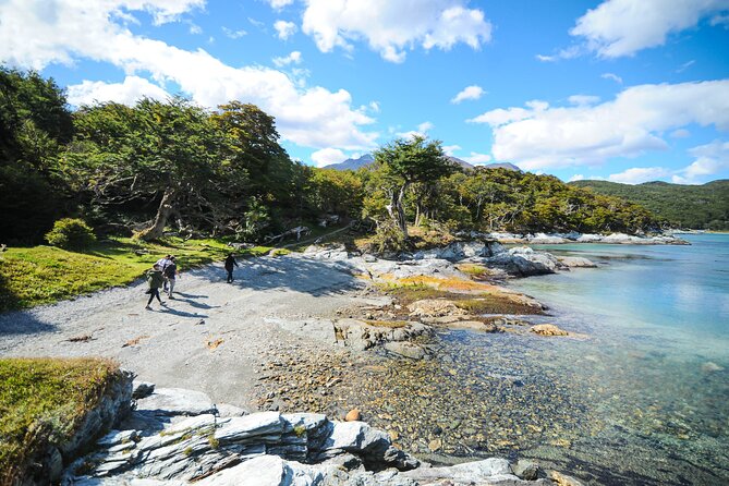 Private Excursion to the Tierra Del Fuego National Park With Trekking and Canoes