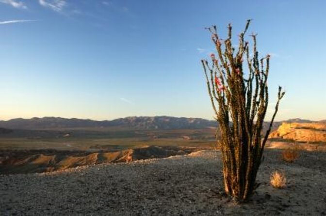 Private Expedition to Anza-Borrego State Park