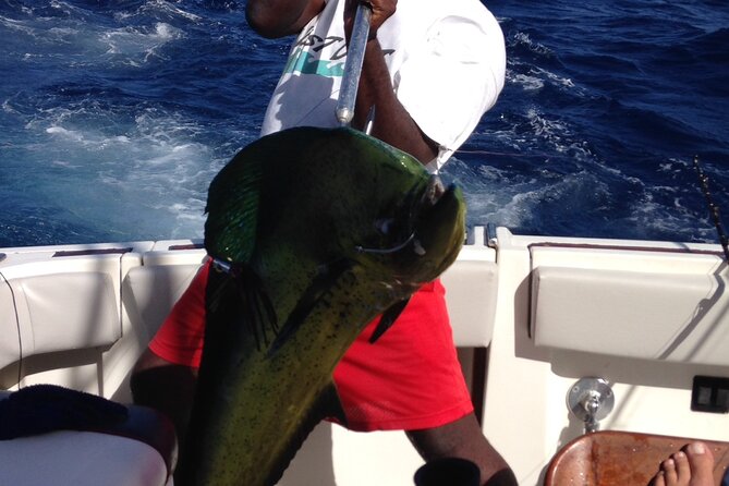 Private Fishing & Boat Cruising Charters in St Kitts and Nevis