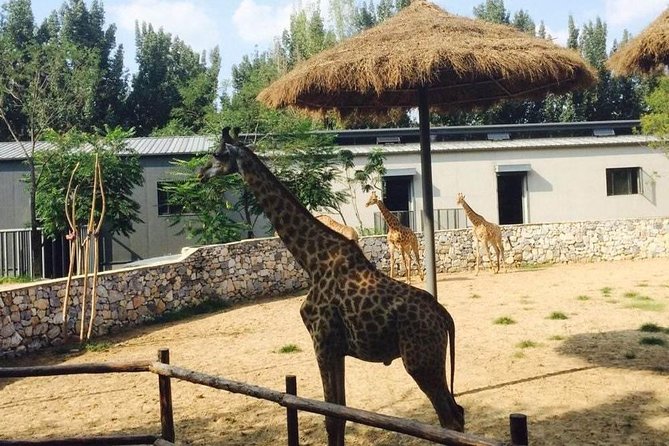 Private Full-Day Beijing Wildlife Park Tour