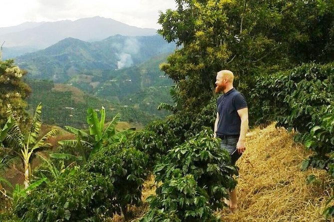 Private Full-Day Coffee Tour to Palmitas Farm Near Medellín