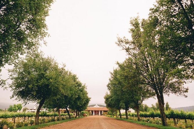 Private Full Day Guided Trip to Casablanca Valley – Visit to 2 Vineyards