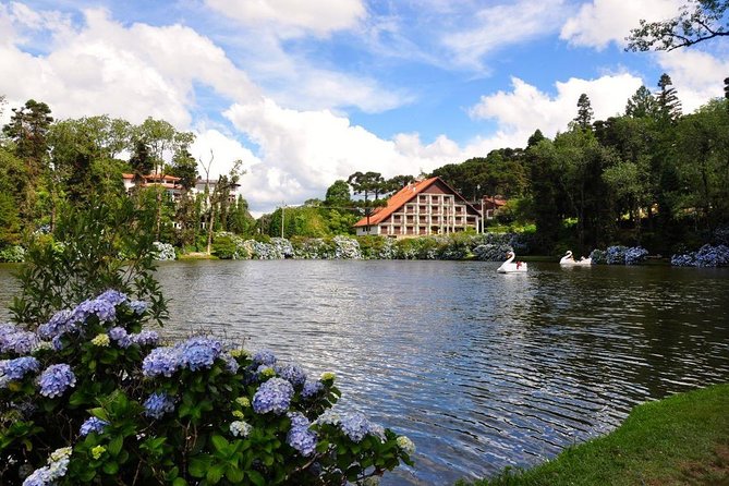 Best Full-Day Tours In Porto Alegre