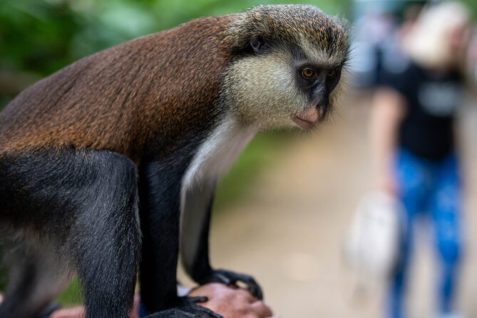 Private Full-Day Tour in Grenada With Pickup