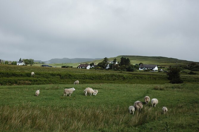 Private Full-Day Tour to the Scottish Highlands and Loch Ness