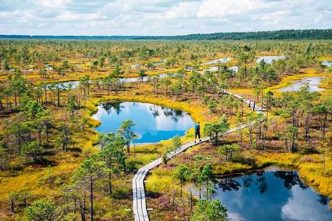 Private Full-Day Trip to Jurmala and Great Kemeri Bog Boardwalk - Transportation and Accessibility
