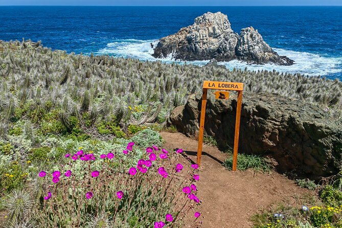 Private Garden Tour in Central Coast of Chile With Lunch Included