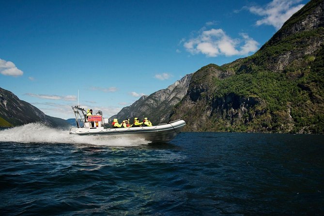 Private Guided Day Tour - RIB Nærøyfjord Safari & Flåm Railway