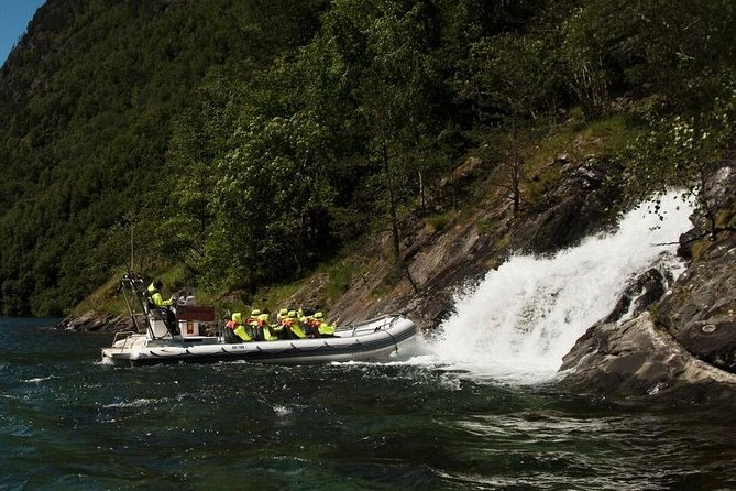 Private Guided Day Tour - RIB Sognefjord Safari and Flåm Railway