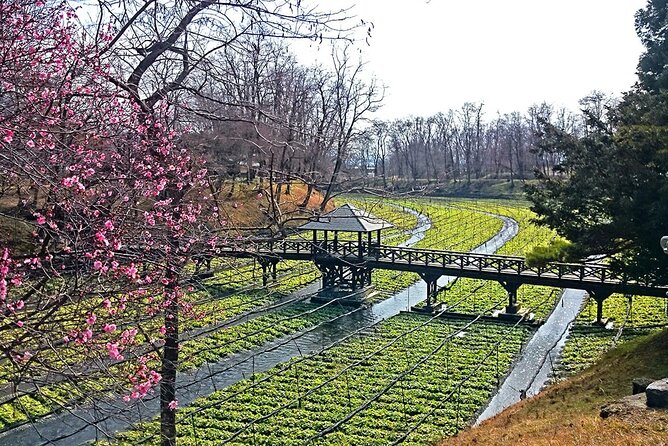 Private Guided Half Day Tour Visit in Nagano - Tour Inclusions