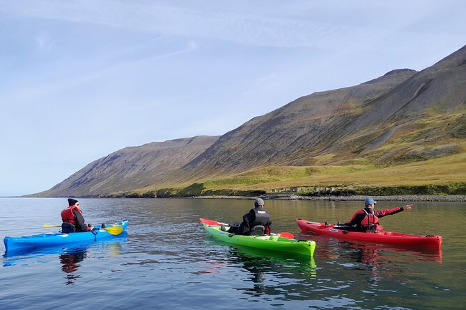 Private: Guided Kayak Tour in Siglufjörður / Siglufjordur.