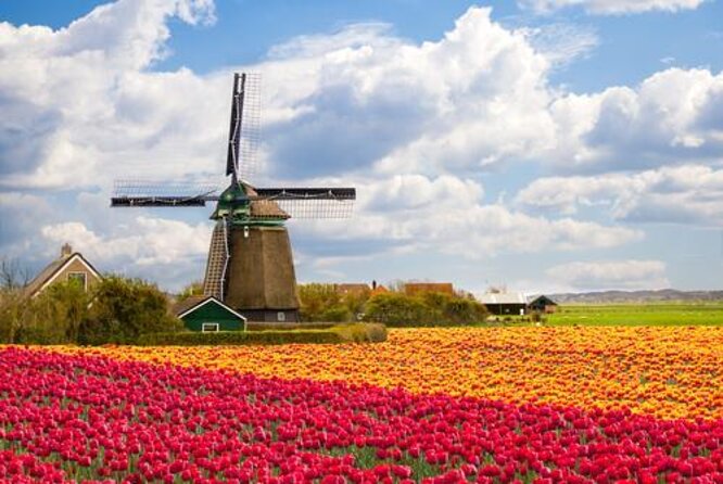 Private Guided Keukenhof Gardens and Zaanse Schans Tour