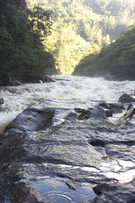 Private Guided Rafting on Magdalena River