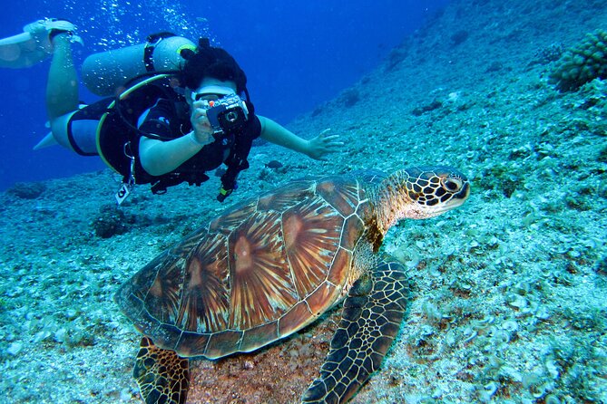 Private Guided Shore Dive - Meeting and Pickup
