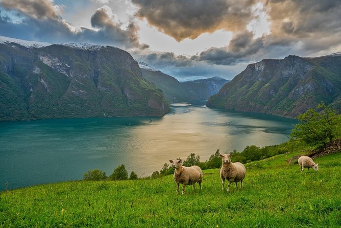 PRIVATE GUIDED TOUR: Norways Highlights – Viking Special, 11-12 Hours – SUMMER