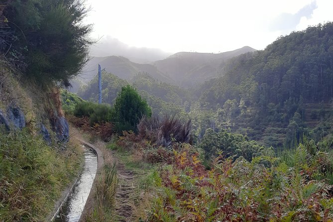 Private Guided Walk Levada Ponta Do Pargo