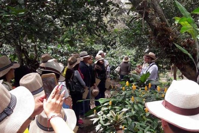 Private Half-Day Coffee & Rum Tour From Bogotá