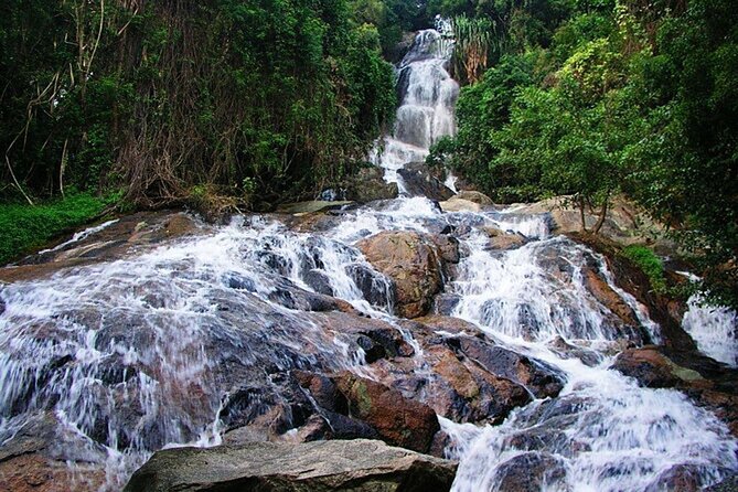 Private Half-Day Koh Samui Tour - Tour Overview