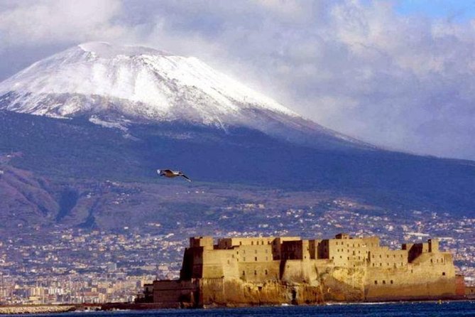 Private Half-Day Tour of Mt. Vesuvius - Overview