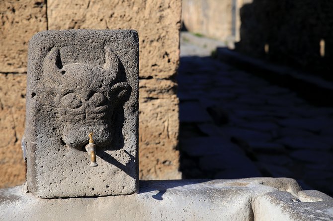 Private Half-Day Tour of The Pompeii Ruins Highlights and Mann - Highlights of Pompeii Archaeological Park