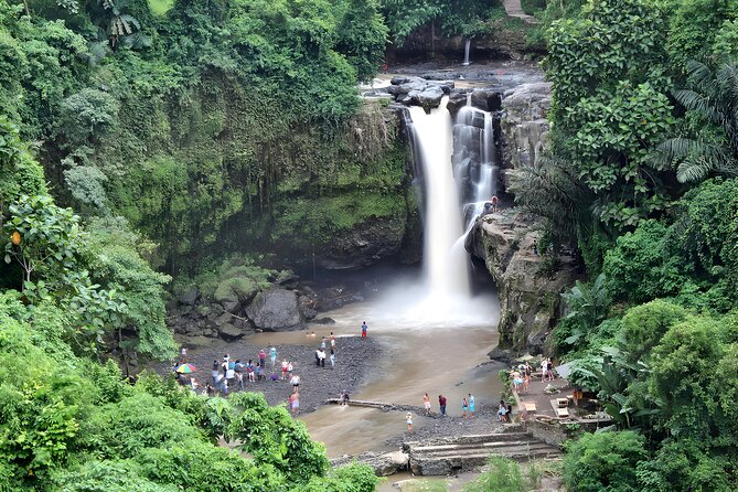 Private Half-Day Tour: Ubud Tour Packages - Inclusions and Tour Details