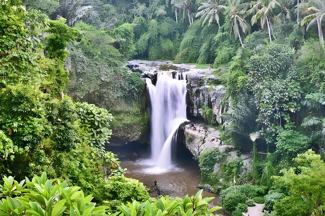 Private Half-Day Tour : Ubud Waterfall Tour Packages - Tour Overview