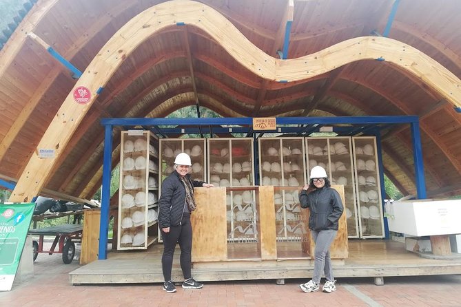 Private Half-Day Trip to the Salt Mine of Nemocón Including Lunch From Bogotá