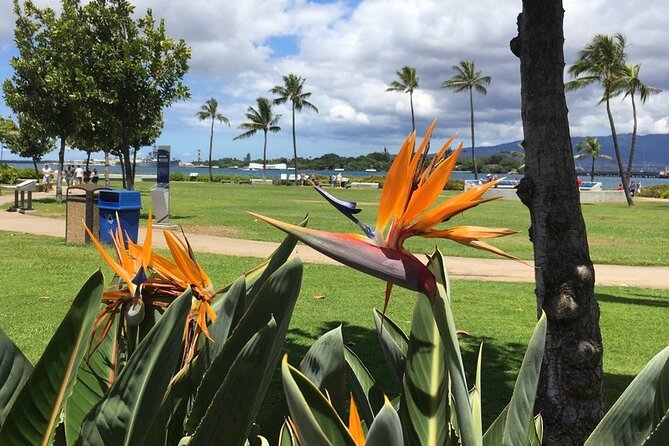 Private Hawaii Pearl Harbor Tours and North Shore (Up to 12 People )