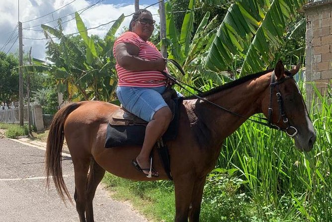 Private Horseback Riding From Ocho Rios With Guide - Personalized Attention and Guidance
