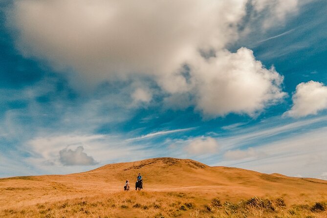 Private Horseback Riding on Easter Island