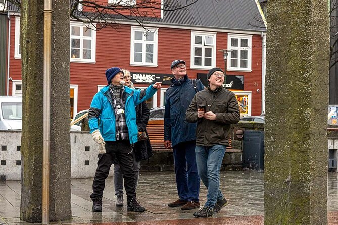 Private Icelandic Viking Age Walking Tour - Tour Overview
