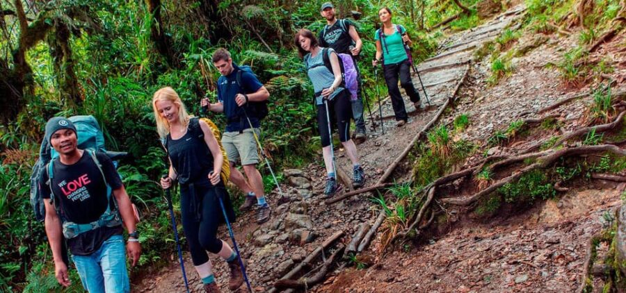 Private: Inka Jungle 3Days + HOTEL 2* | Machupicchu