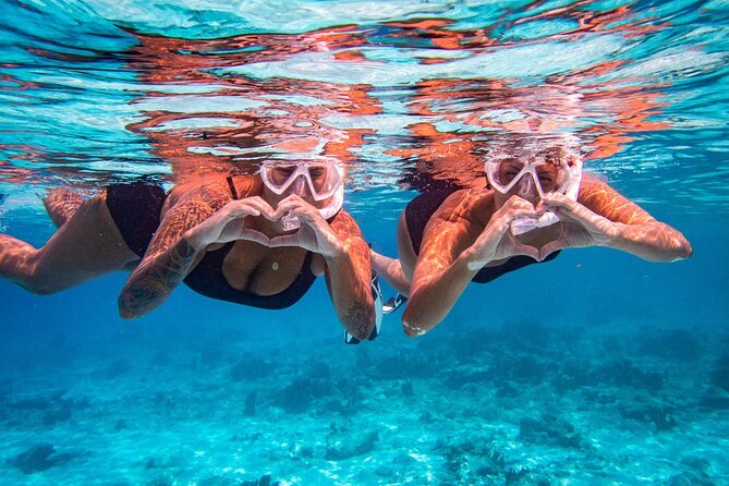 2 Best Snorkeling Experiences In Kralendijk