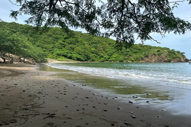 4 Best Guided Tours In Playa Hermosa